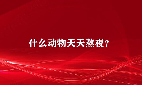 什么动物天天熬夜？