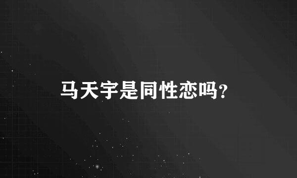 马天宇是同性恋吗？