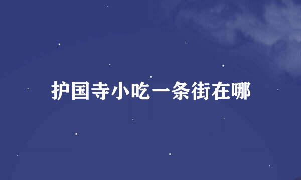 护国寺小吃一条街在哪