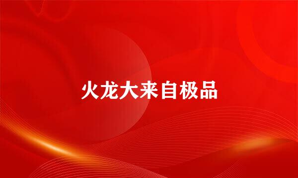 火龙大来自极品