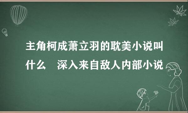 主角柯成萧立羽的耽美小说叫什么 深入来自敌人内部小说