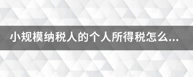 小规模纳税人的个人所得税怎么计算中心