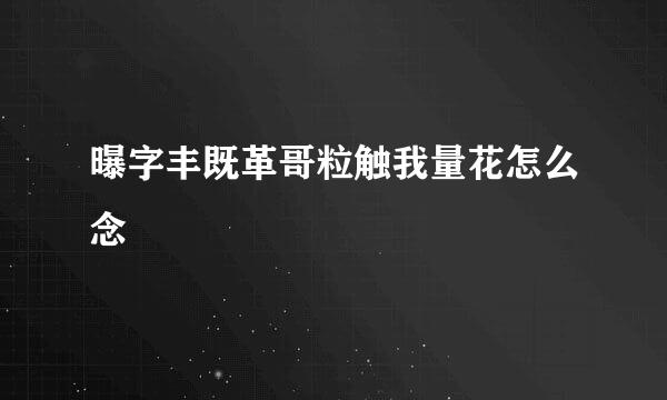 曝字丰既革哥粒触我量花怎么念