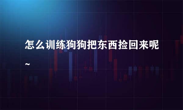 怎么训练狗狗把东西捡回来呢~