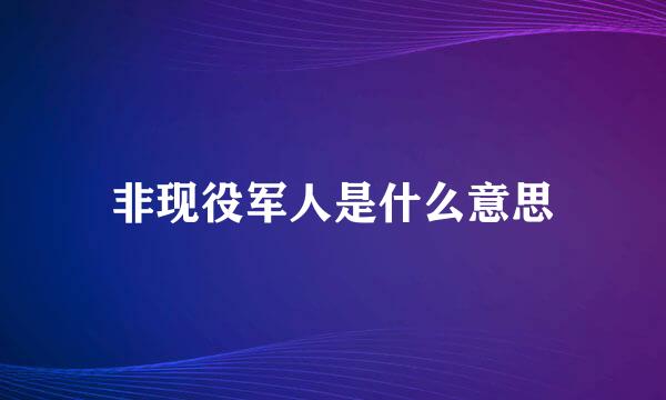 非现役军人是什么意思