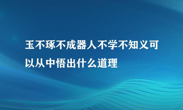 玉不琢不成器人不学不知义可以从中悟出什么道理