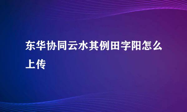 东华协同云水其例田字阳怎么上传