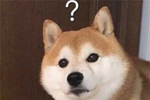 有内味了是什么梗?