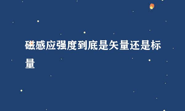 磁感应强度到底是矢量还是标量
