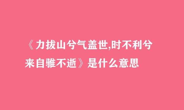 《力拔山兮气盖世,时不利兮来自骓不逝》是什么意思