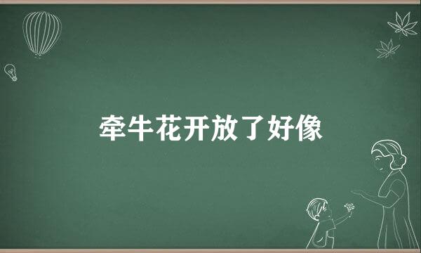 牵牛花开放了好像