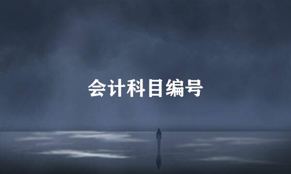 会计科目编号