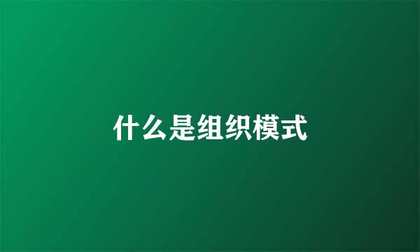 什么是组织模式