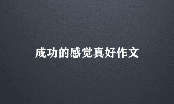 成功的感觉真好作文