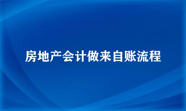 房地产会计做来自账流程