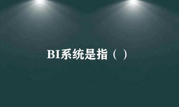 BI系统是指（）