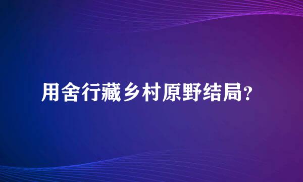 用舍行藏乡村原野结局？
