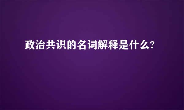 政治共识的名词解释是什么?