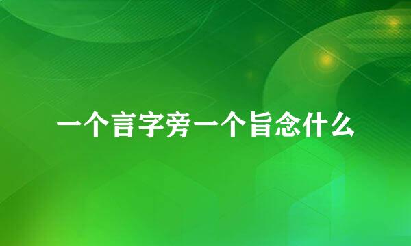 一个言字旁一个旨念什么