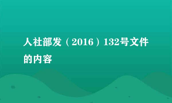 人社部发（2016）132号文件的内容