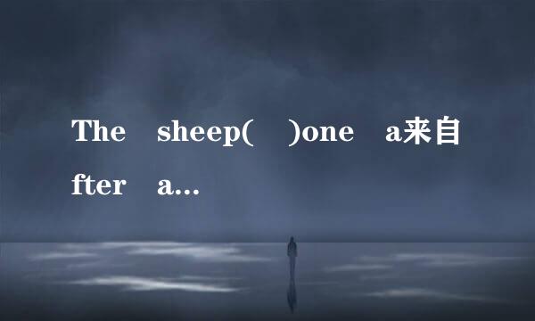 The sheep( )one a来自fter anothe但任距探若盐劳r since last week.