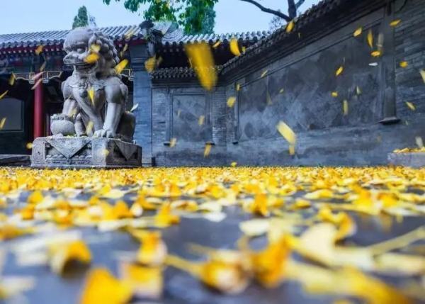 却道天凉好个秋什么意思？