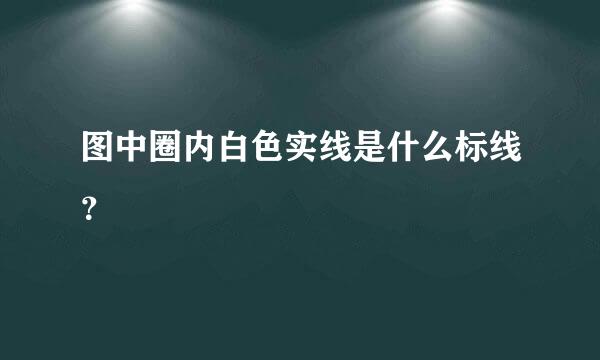 图中圈内白色实线是什么标线？