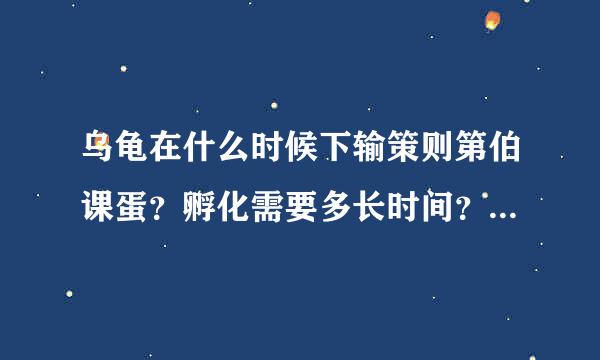 乌龟在什么时候下输策则第伯课蛋？孵化需要多长时间？需要注意什么？