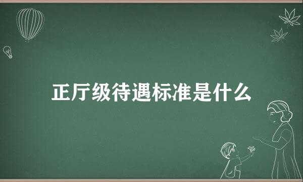 正厅级待遇标准是什么