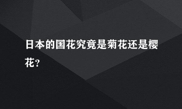日本的国花究竟是菊花还是樱花？