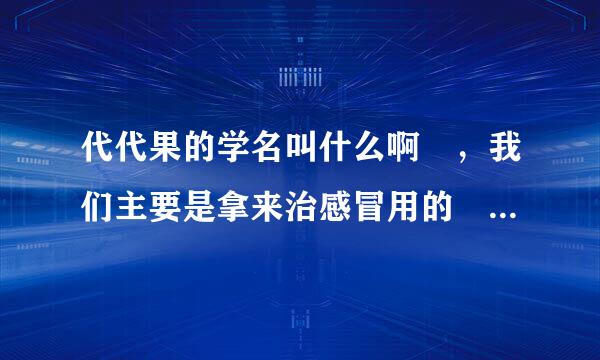 代代果的学名叫什么啊 ，我们主要是拿来治感冒用的 外形类似橘子，但味道很难吃 请教知道的人士