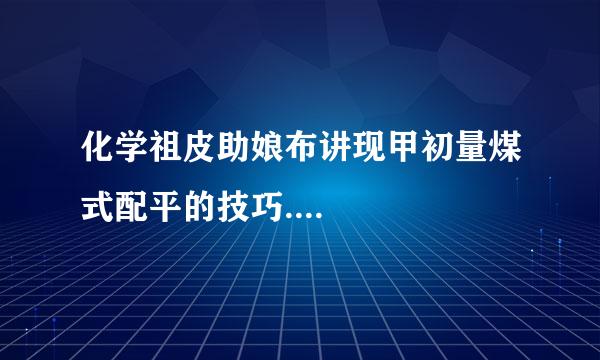 化学祖皮助娘布讲现甲初量煤式配平的技巧....
