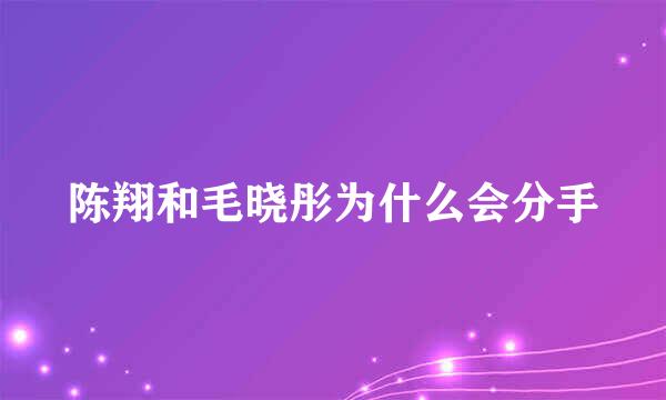 陈翔和毛晓彤为什么会分手