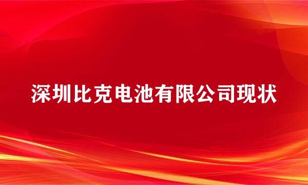 深圳比克电池有限公司现状