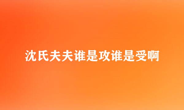 沈氏夫夫谁是攻谁是受啊