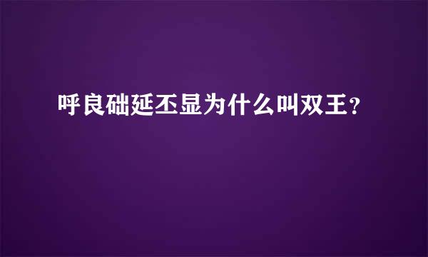 呼良础延丕显为什么叫双王？
