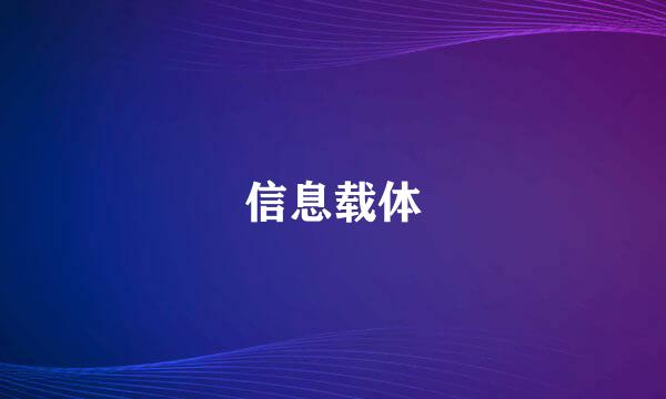 信息载体