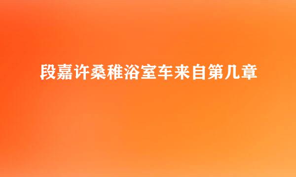 段嘉许桑稚浴室车来自第几章