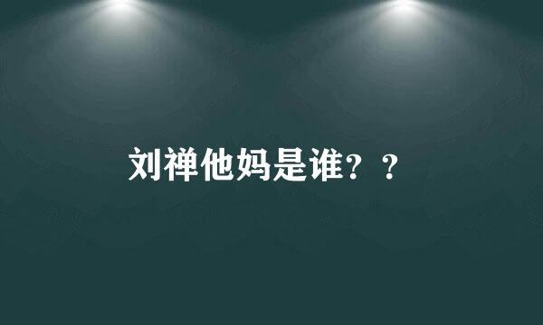 刘禅他妈是谁？？