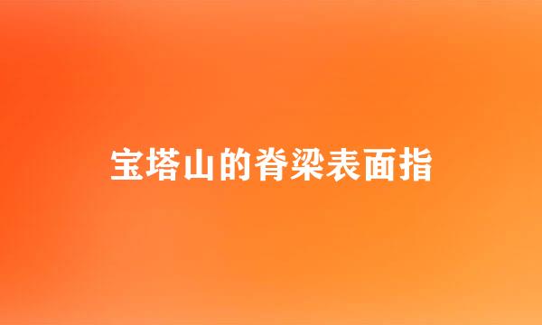 宝塔山的脊梁表面指