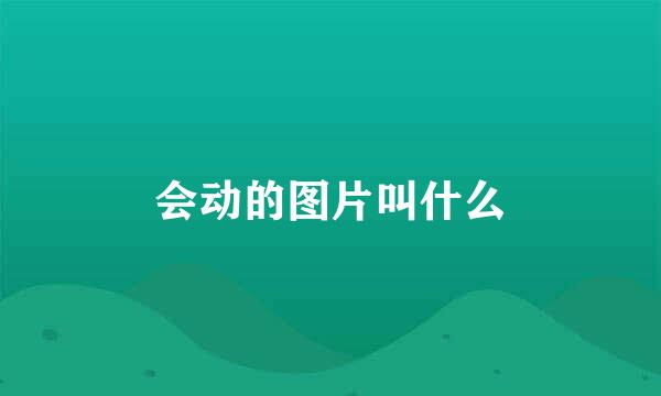 会动的图片叫什么