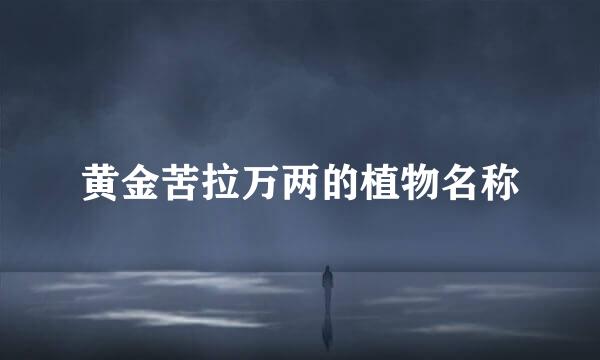 黄金苦拉万两的植物名称