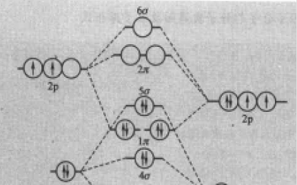双原节帮没子华补犯子分子有哪些?