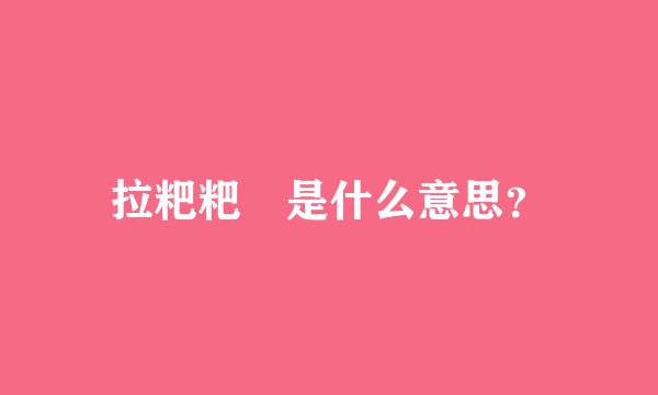 拉粑粑 是什么意思？