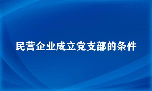 民营企业成立党支部的条件