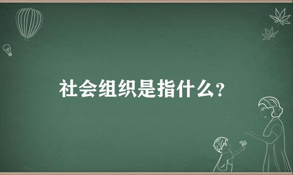 社会组织是指什么？