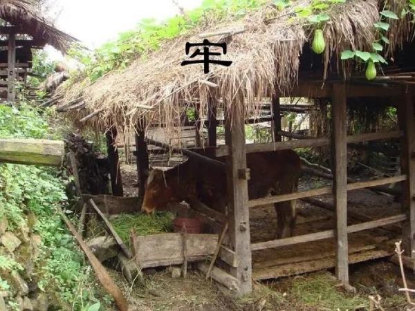 周秉昆为什展饭部府极台均么坐12年牢