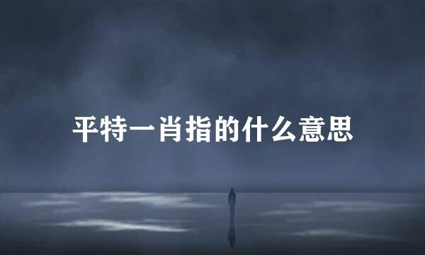 平特一肖指的什么意思