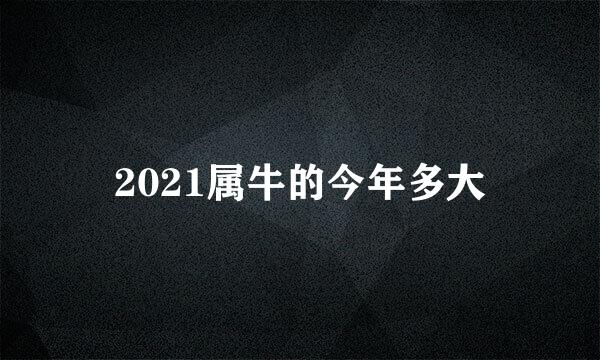 2021属牛的今年多大