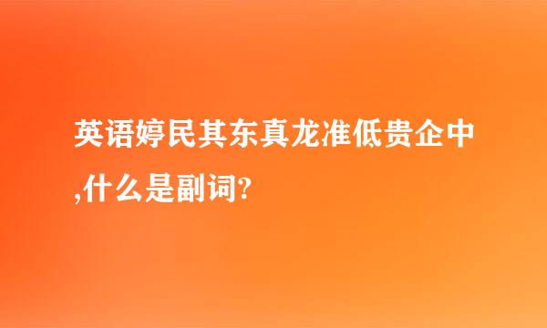 英语婷民其东真龙准低贵企中,什么是副词?